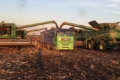 Урожайність соняшнику в одному з господарств Tekom Agro Group – від 22 до 25 ц/га