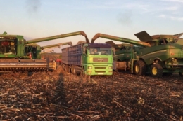 Урожайність соняшнику в одному з господарств Tekom Agro Group – від 22 до 25 ц/га