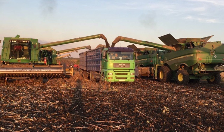 Урожайність соняшнику в одному з господарств Tekom Agro Group – від 22 до 25 ц/га