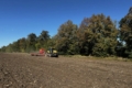 Посівна дорожчає