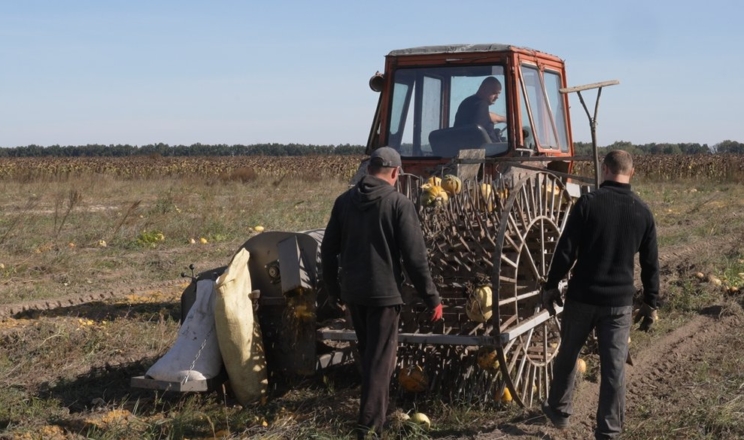 На Чернігівщині виготовили саморобний збирач гарбузів