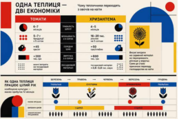 Південне господарство повністю змінило профіль через ціни на томати