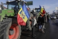 Фермери Молдови вимагають продовжити механізм ліцензування імпорту української агропродукції