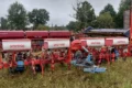 Соняшник посіяли по вимерзлому ячменю