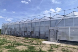 Китайська компанія збудувала томатну теплицю в Румунії