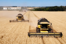 Урожайність озимої пшениці в «Агронова» більш ніж на 50% перевищує торішній показник