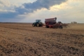 Сівба озимого ячменю завершилася в Tekom Agro Group: відсіялися в сухий ґрунт