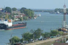 На Суліні вже надають пріоритет суднам із рослинною олією