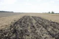 «Рос-Агро» поєднує прямий висів і глибоке розпушення