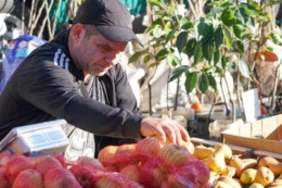 В Ужгороді вперше за 7 років відкрили осінній ярмарок